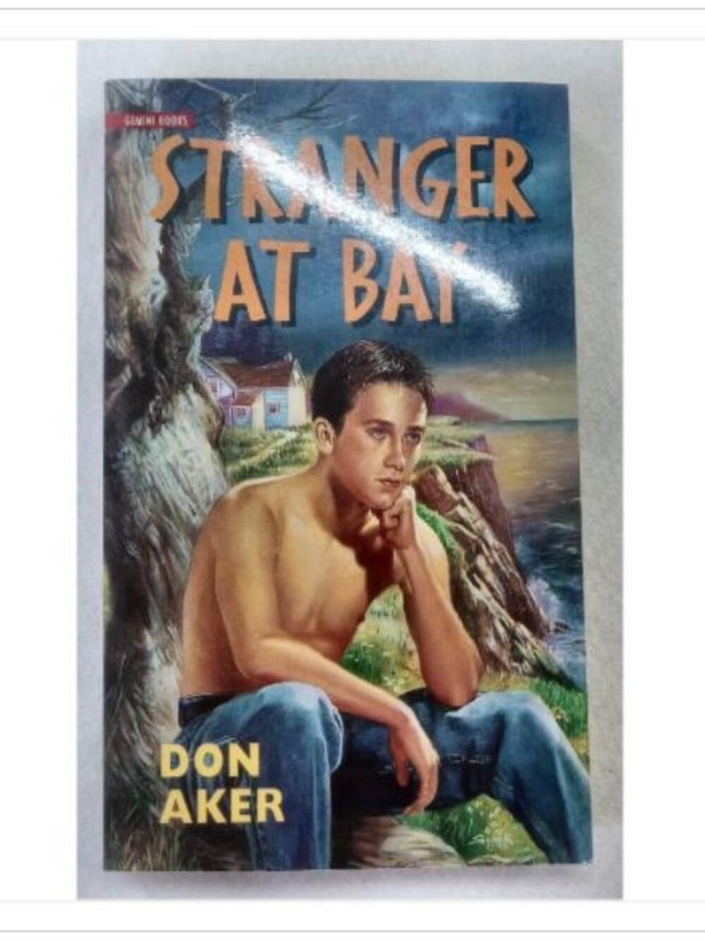 Stranger at Bay Don Aker 1997 Paperback Book Vintage Novel Read Classic